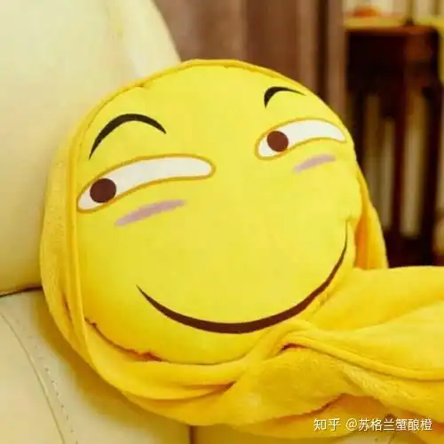 请问各位清北复旦985211的学生,支持你们的动力是什么 请问各位清北复旦985211的学生,支持你们的动力是什么