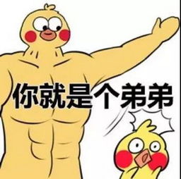 表情包,抖音七彩小黄鸭全套表情包哪里有 表情包,抖音七彩小黄鸭全套表情包哪里有