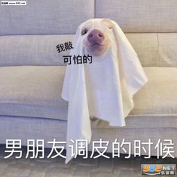  男朋友调皮的时候表情图片男朋友打游戏的时候表情包下载乐游网游戏下载