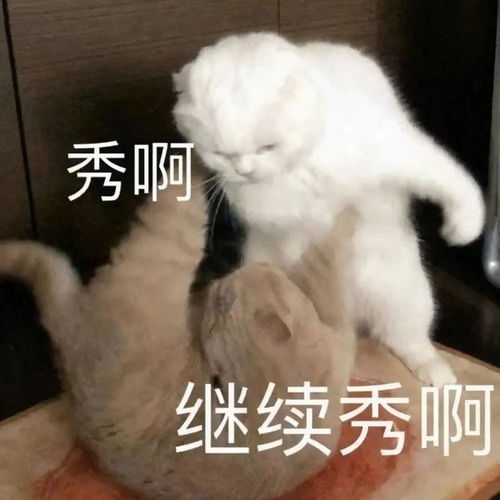  表情包泥不要过来呀
