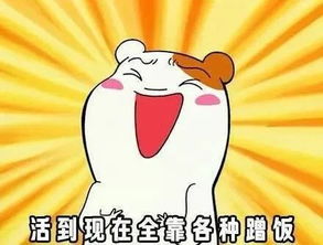  怎么形容你的厨艺萌化了老夫的少女心