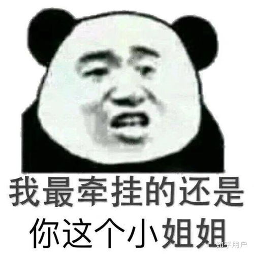  我的收藏夹