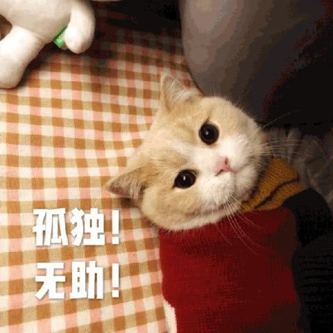 表情包现在还可以新年快乐吗不行我就恭喜发财 表情包现在还可以新年快乐吗不行我就恭喜发财