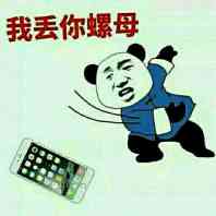  丢你螺母表情包图片