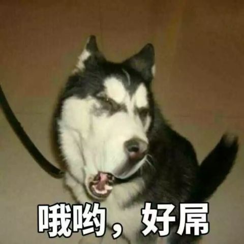  广大单身狗反击指南