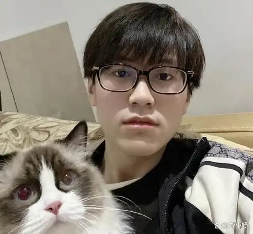 meiko爱猫小浣熊出圈,竟是悠米冠军皮肤原型,傲娇表情像极肥波 meiko爱猫小浣熊出圈,竟是悠米冠军皮肤原型,傲娇表情像极肥波