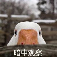  大白鹅表情包可爱微信头像图片大全
