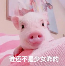  最近火了怼人表情包你再嘚瑟,老子反手抓个屁塞你嘴里