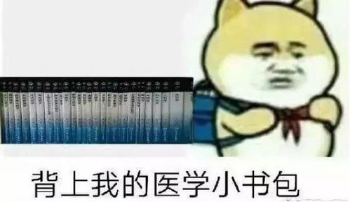  进县医院都需要研究生学历唉,学医真是读研才有出路吗