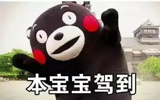  征集令兰大校友会吉祥物名称及表情包征集