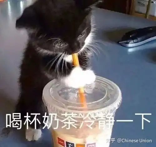 ucsd2025er新生群入口戳这里 ucsd2025er新生群入口戳这里