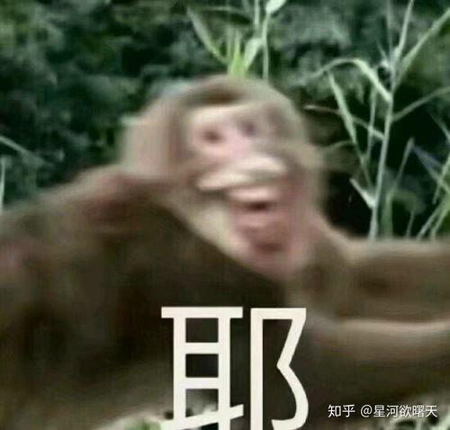 打开丙戊酸钠缓释片那神奇的瓶子是怎样一种体验 打开丙戊酸钠缓释片那神奇的瓶子是怎样一种体验