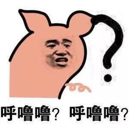  长相和年龄不成正比,是什么体验我不应该在我这个年纪承受帅与美