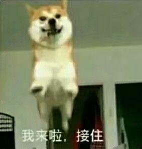  暗搓搓地秀恩爱那些看起来不像情侣头像的情侣头像
