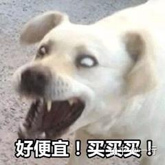  双十一期间菜鸟会不会爆呢