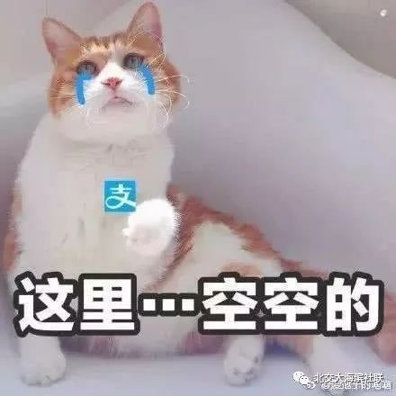  双十一来啦