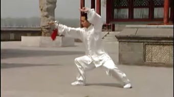  杨氏太极传统剑