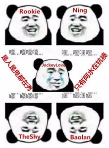  英雄联盟lol表情包合集ig牛逼
