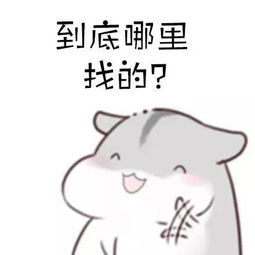 如何找到男朋友表情包男