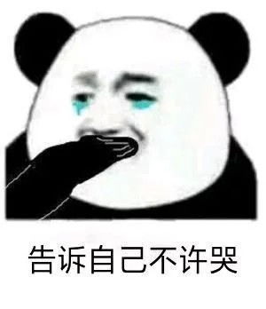  沙雕熊猫头我这么靓仔,是不会骗你的