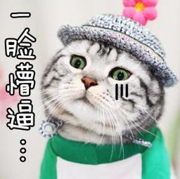  不会怼店员的顾客不是好产品