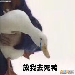  人心都疯球了哇表情包给你演示个闭嘴表情包图片下载乐游网游戏下载