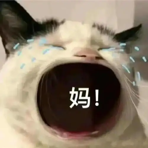  点开和爸妈的聊天记录,我发现......