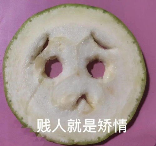  超爽骂人表情包就你长了张嘴