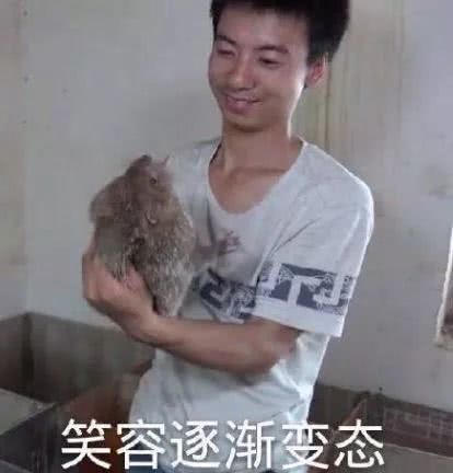  疯狂的外星人太会玩了