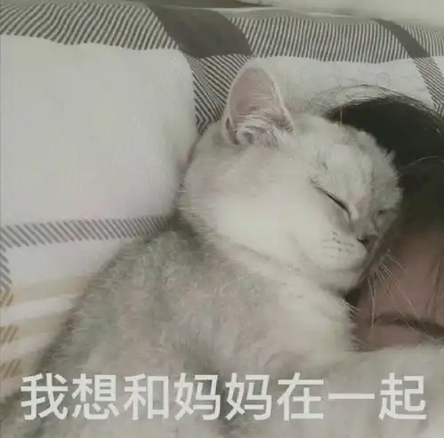  妈宝女可以用到的表情包