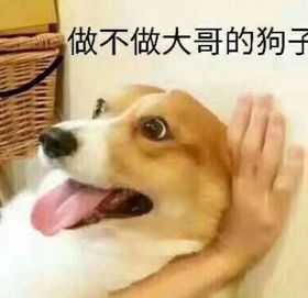  文件包含