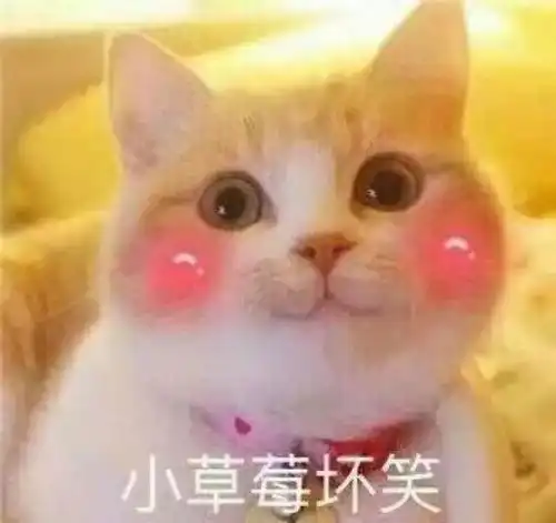  怼怼试色这支口红凭什么说比阿玛尼405好看