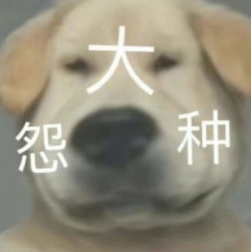  沙雕表情包第三十九期