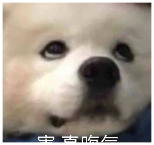 表情包丨老娘真可爱嘤嘤嘤嘤 表情包丨老娘真可爱嘤嘤嘤嘤