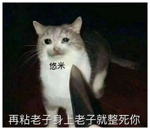  猫咪悠米为何在职业赛场大放异彩这英雄到底是强是弱