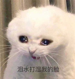  每日神段子丨张国立看八卦的表情太好笑