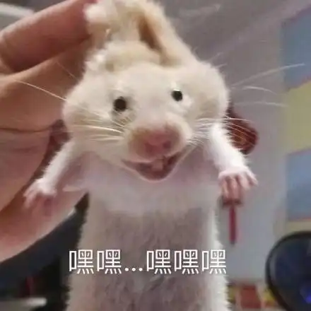 小仓鼠表情包小仓鼠微信表情包小仓鼠qq表情包发表情fabiaoqing.com 小仓鼠表情包小仓鼠微信表情包小仓鼠qq表情包发表情fabiaoqing.com