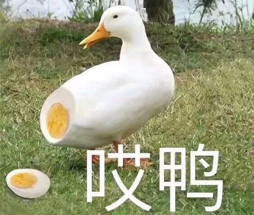  这都是什么神操作扒一扒hr工作中遇到奇葩事儿....