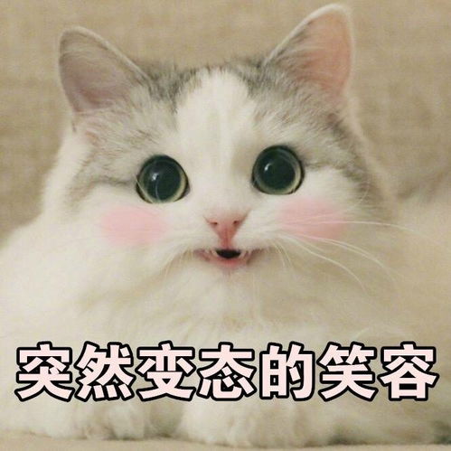  超萌表情包σω