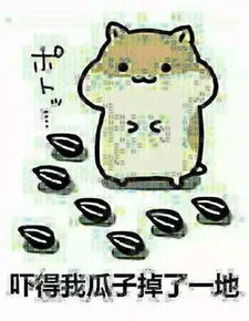  轻易被破解隐私视频被出售网络摄像头你还敢用吗