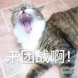 表情包丨萌猫表情包来袭 表情包丨萌猫表情包来袭