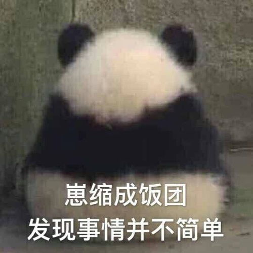 熊猫膨胀表情包干饭