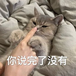  猫咪威胁表情包你说完了没有