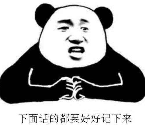 啪的一声没了的表情包熊