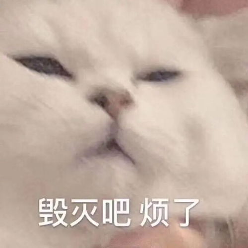  无限列车女主不蹭饭人设就ok以及本来就ok的剧情无限流小说