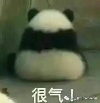 太真实了熊猫表情包剑魂