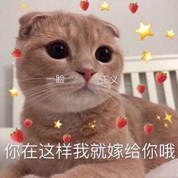  每日表情丨撒娇娇