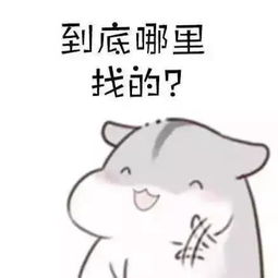  帅气校草在线交友内含联系方式
