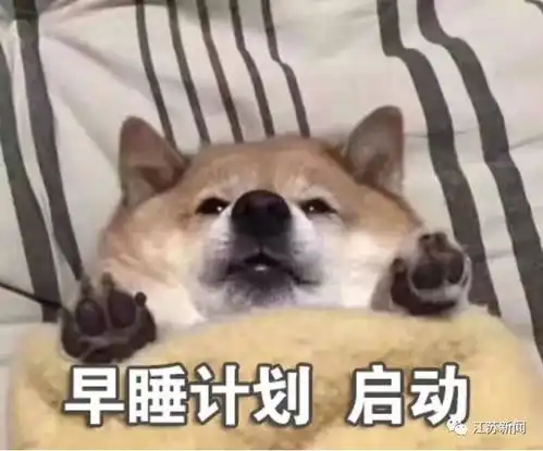 斗图表情包乌龟哄宝宝睡