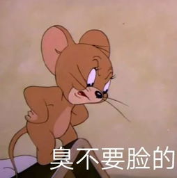  猫和老鼠套图头像壁纸表情包背景图